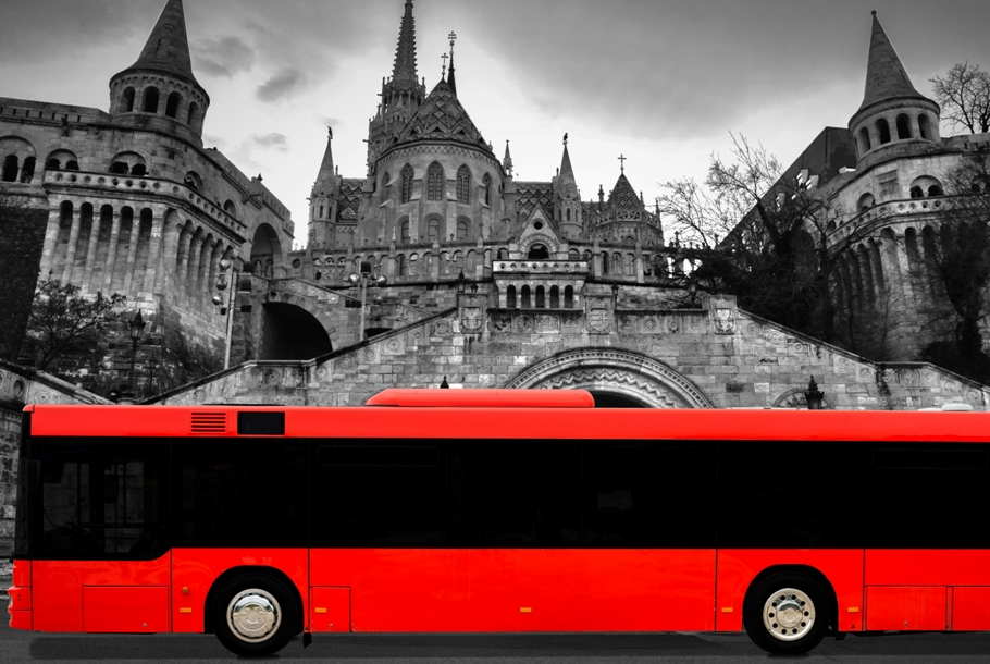 VIP Partybusz